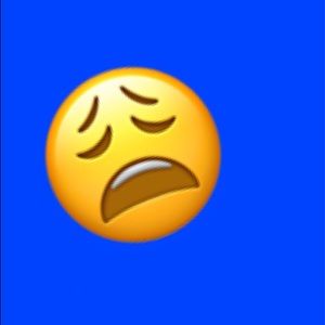 Meet your Posher, Brooklynne